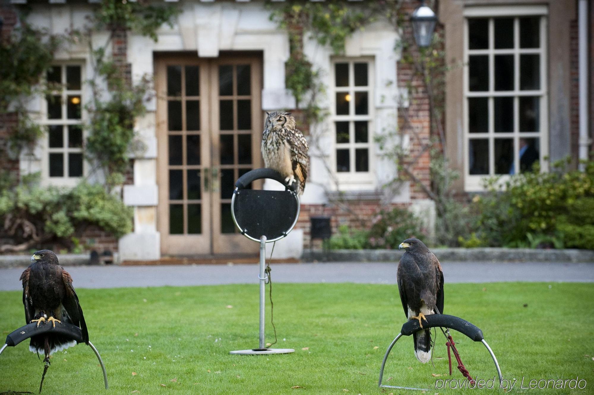 Lainston House Hotel วินเชสเตอร์ สิ่งอำนวยความสะดวก รูปภาพ
